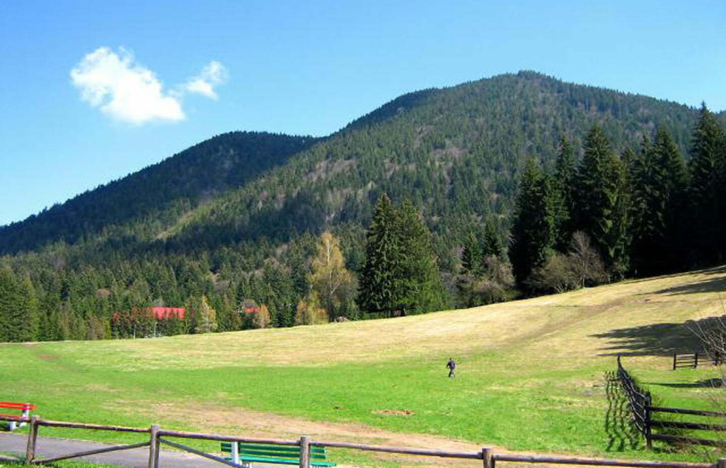 Drumul forestier dintre Poiana Brașov și Râșnov